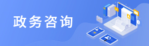 政务咨询