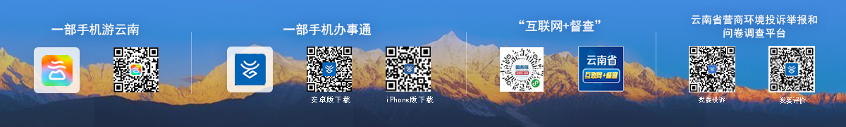应用平台