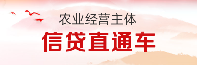 信贷直通车
